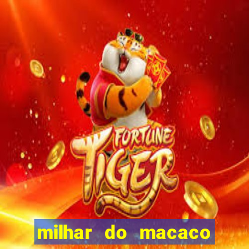 milhar do macaco que mais saem no jogo do bicho