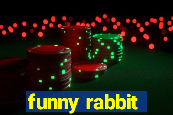 funny rabbit