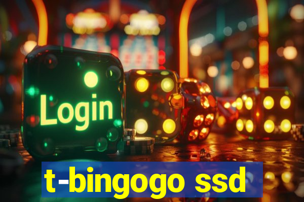 t-bingogo ssd