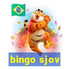 bingo sjov