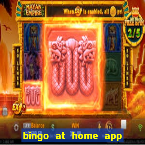 bingo at home app cheat sheet