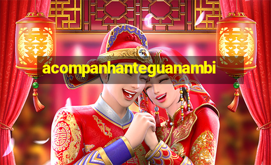 acompanhanteguanambi