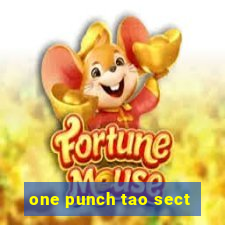 one punch tao sect