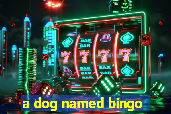 a dog named bingo