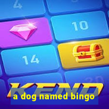 a dog named bingo