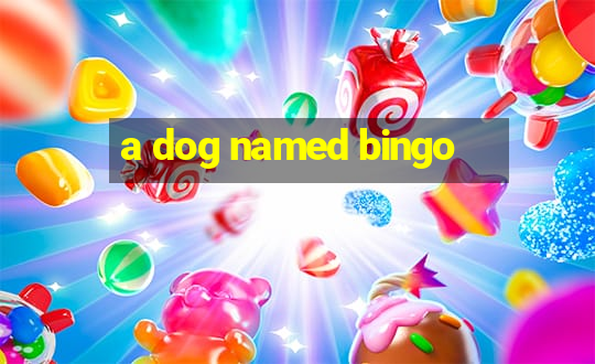 a dog named bingo