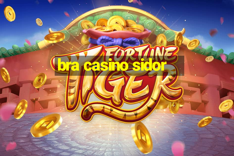 bra casino sidor