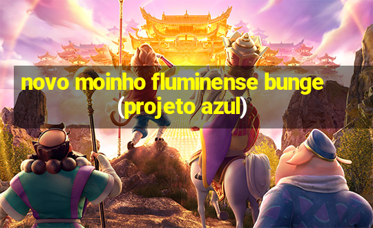 novo moinho fluminense bunge (projeto azul)