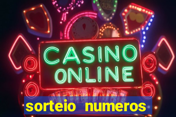 sorteio numeros bingo online