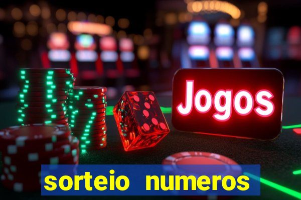 sorteio numeros bingo online