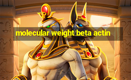 molecular weight beta actin