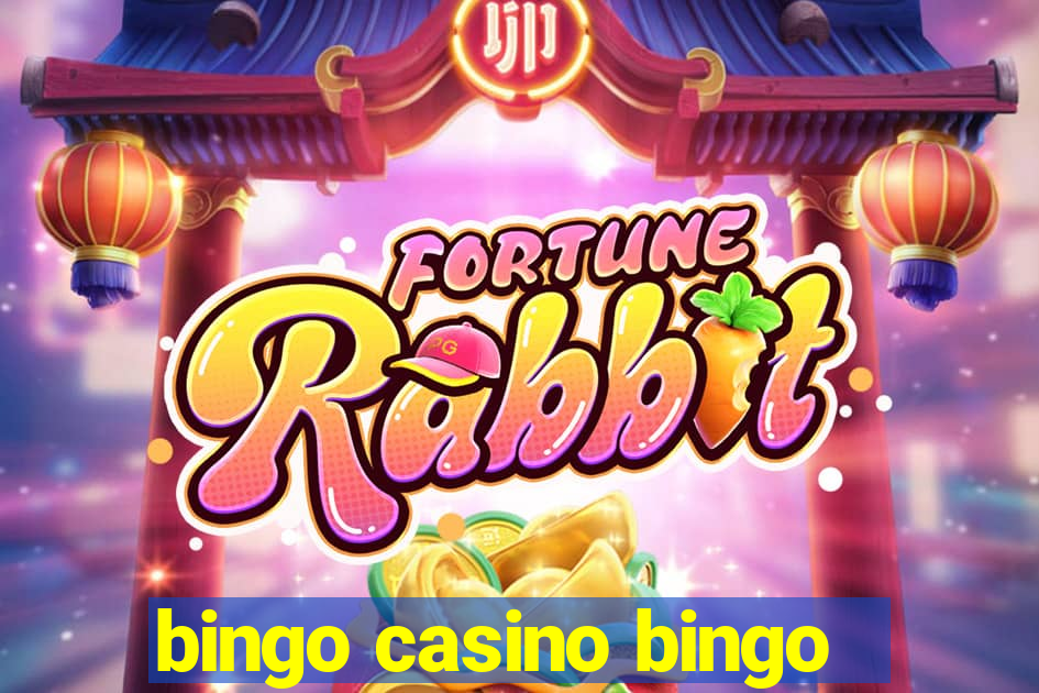 bingo casino bingo