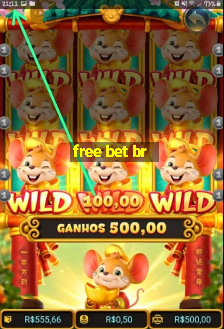 free bet br