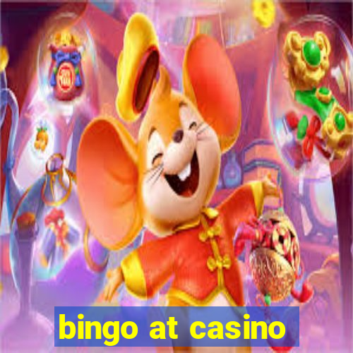 bingo at casino