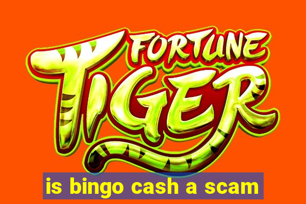 is bingo cash a scam