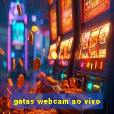 gatas webcam ao vivo