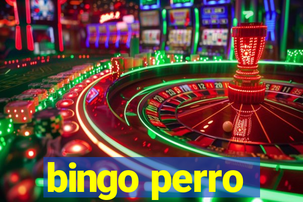 bingo perro