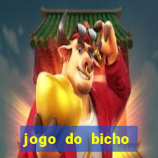 jogo do bicho crash bingo