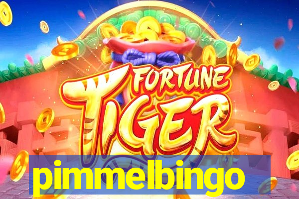 pimmelbingo