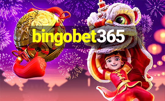 bingobet365