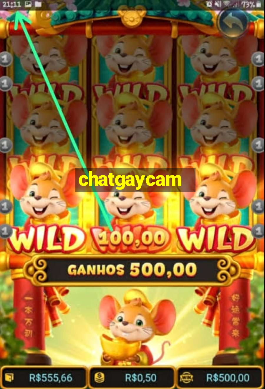 chatgaycam