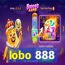 lobo 888