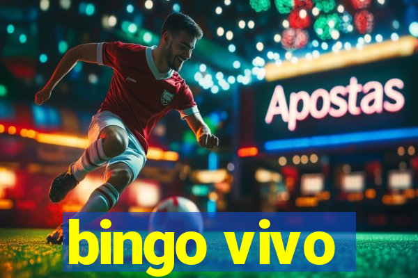 bingo vivo