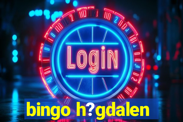 bingo h?gdalen