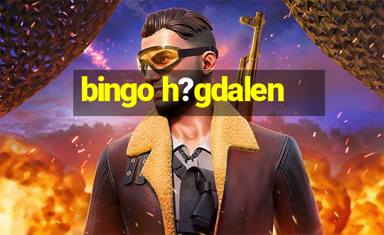 bingo h?gdalen