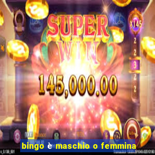 bingo è maschio o femmina