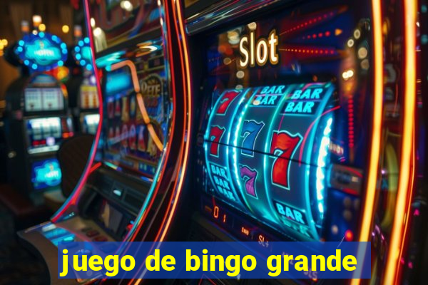 juego de bingo grande