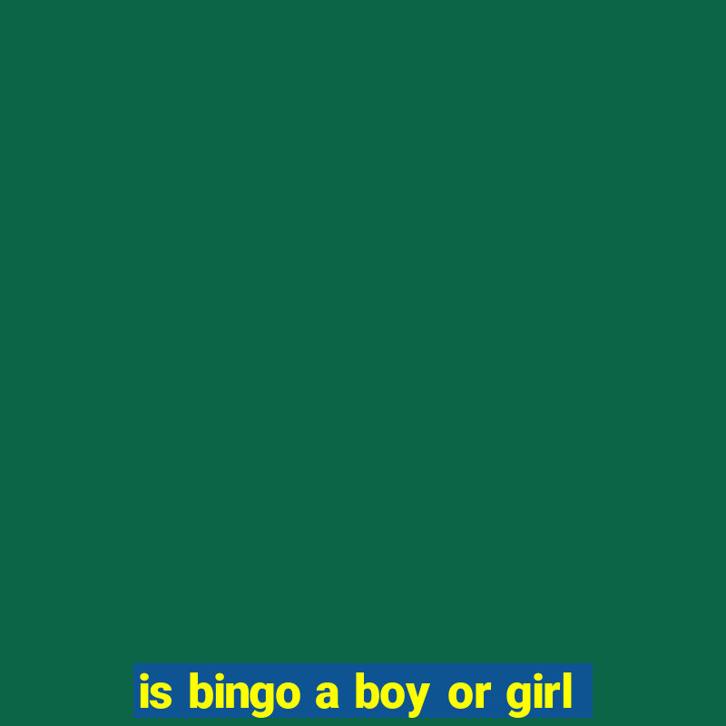 is bingo a boy or girl