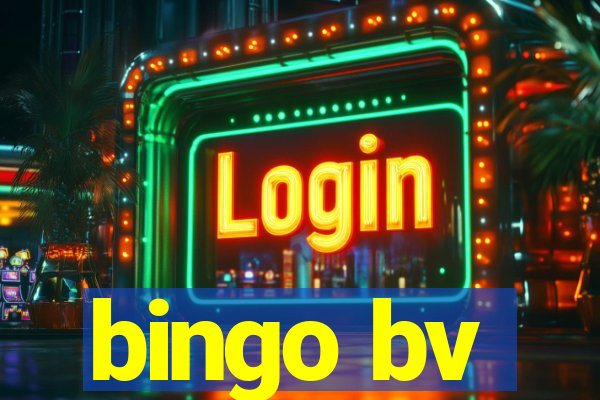 bingo bv