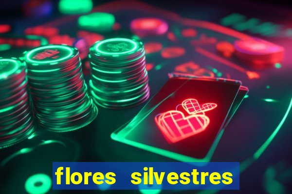 flores silvestres desbravadores desbravadores 25 flores silvestres e seus nomes