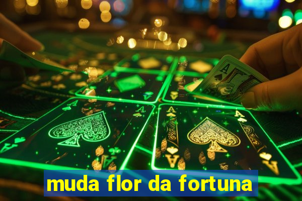 muda flor da fortuna