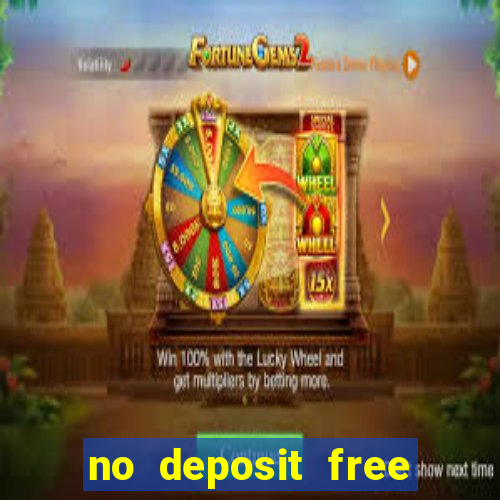 no deposit free bingo bonus