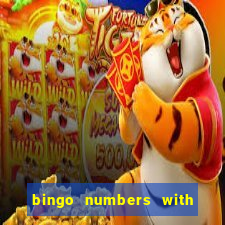 bingo numbers with highest probability