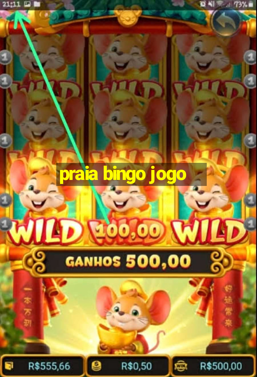 praia bingo jogo