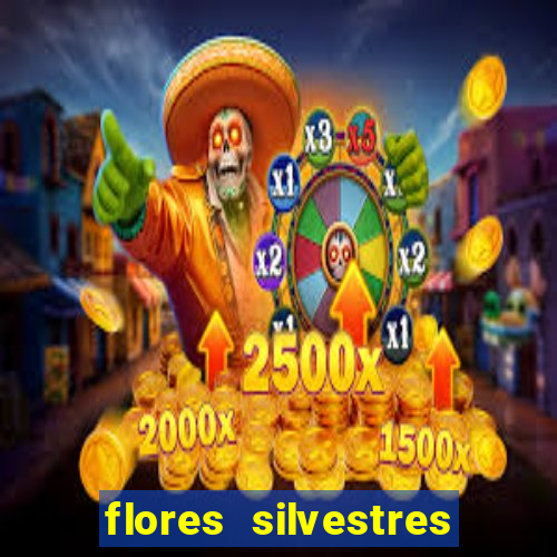 flores silvestres desbravadores desbravadores 25