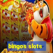 bingos slots