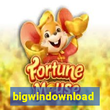 bigwindownload