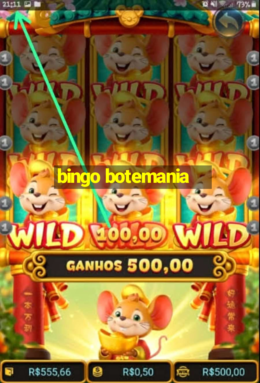 bingo botemania