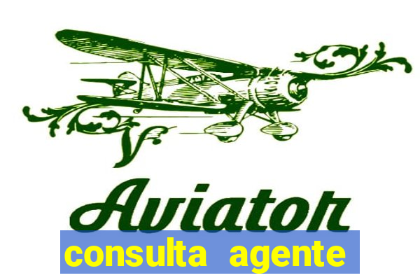 consulta agente autuador sp