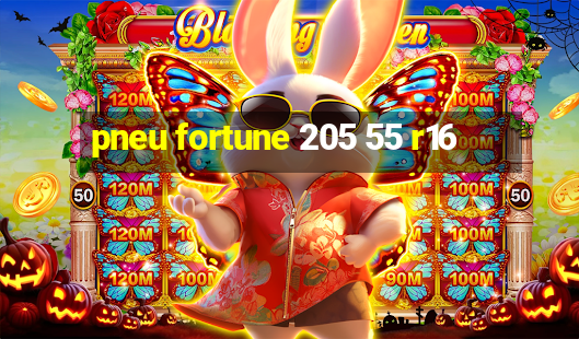 pneu fortune 205 55 r16