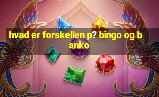 hvad er forskellen p? bingo og banko