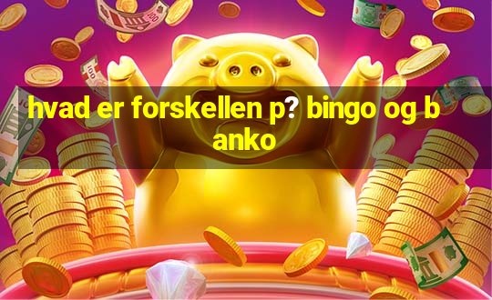 hvad er forskellen p? bingo og banko