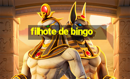 filhote de bingo