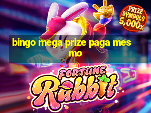 bingo mega prize paga mesmo