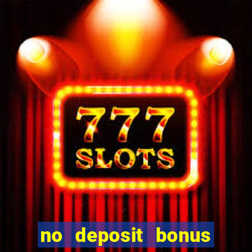 no deposit bonus bingo casino