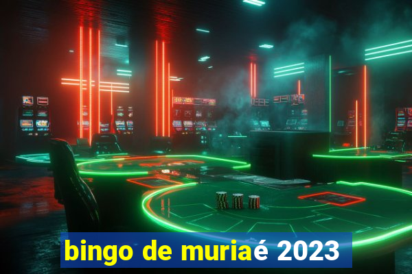 bingo de muriaé 2023